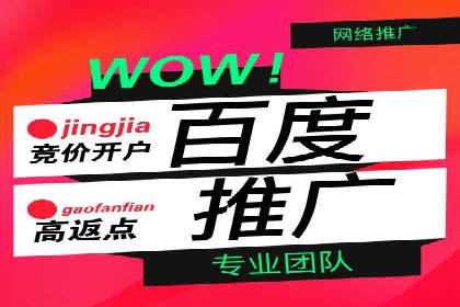 百度竞价代运营案例：电商行业逆袭